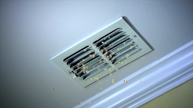 Best Professional Duct Cleaning Services  in Middleburg, PA