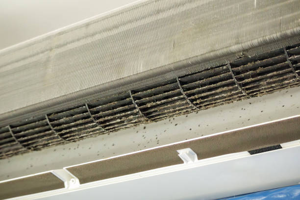 Best Air Duct Sanitizing Services  in Middleburg, PA